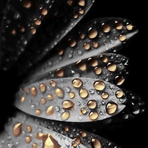 Meet your Posher, Debbie - Picture 1 of 1